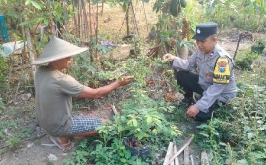 Bhabinkamtibmas Dorong Masyarakat Manfaatkan Lahan Kosong untuk Ketahanan Pangan